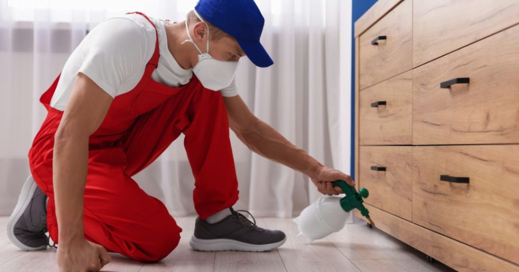 capa dedetizacao em Ribeirão Preto